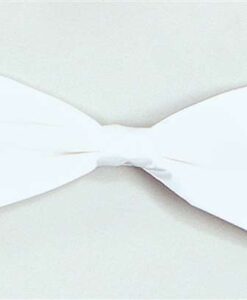 Small bow tie