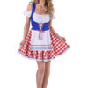 Oktoberfest Dirndl