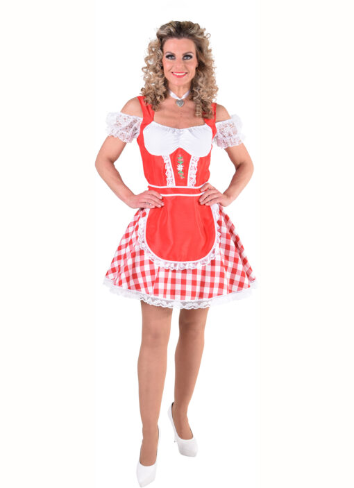 Oktoberfest Dirndl / Heidi / Bavarian dress available in 4 different colours. - Image 2