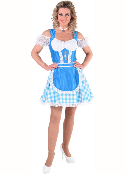 Oktoberfest Dirndl / Heidi / Bavarian dress available in 4 different colours. - Image 3