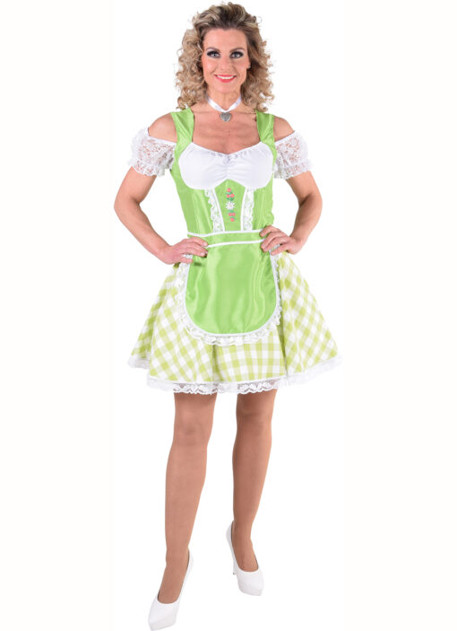 Oktoberfest Dirndl / Heidi / Bavarian dress available in 4 different colours. - Image 4