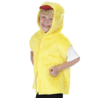 Childs- Chicken Tabard