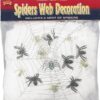 Spider s Web Decoration