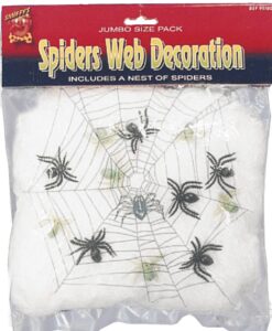 Spider s Web Decoration