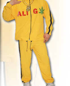 Ali - g - For Hire