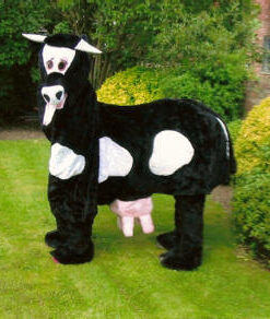 Mascot - Pantomime Cow - Black - For Hire