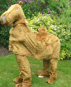 Mascot - Pantomime Camel - For Hire
