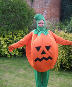 Pumpkin Costume - For Hire