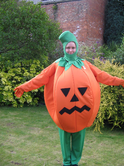 Pumpkin Costume - For Hire