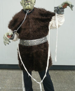 Frankenstein's Monster Costume - For Hire