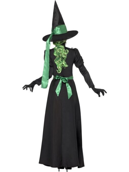 Wicked Witch - Image 3