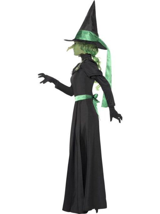 Wicked Witch - Image 2