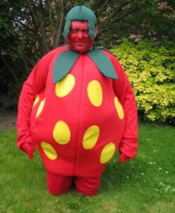 Mascot - Fruit - Strawberry - For Hire