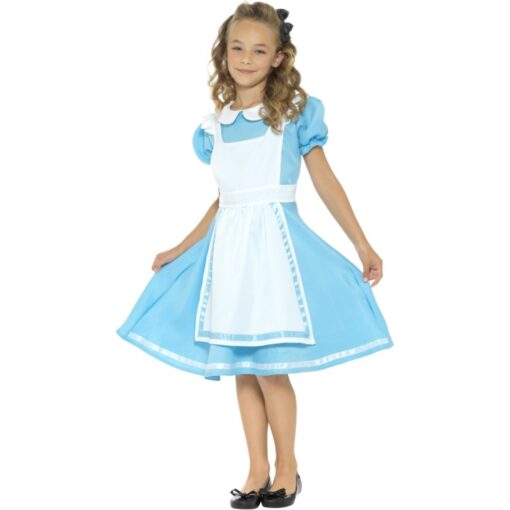 Wonderland Princess Costume.