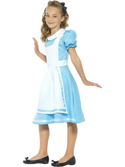 Wonderland Princess Costume. - Image 2