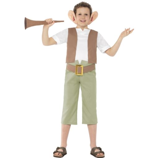 The BFG Roahl Dahl Costume.