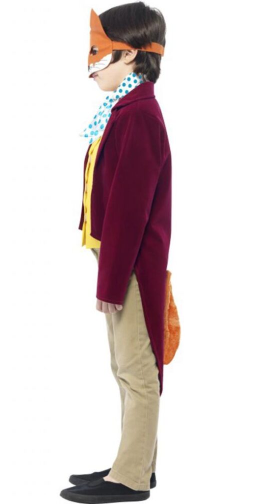 Fantastic Mr Fox - Roahl Dahl Costume - Image 2