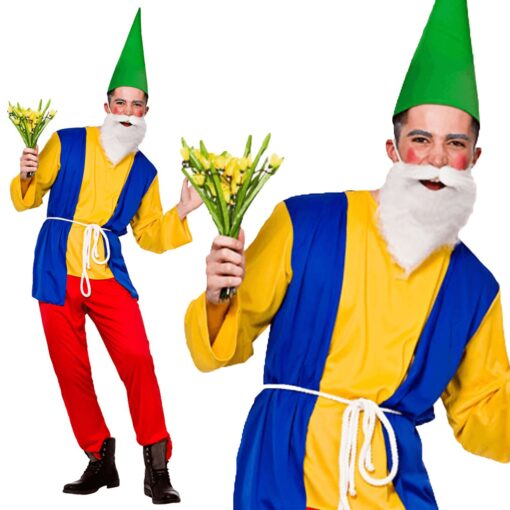 Funny Gnome