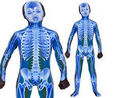 Skinz - X- Ray Skeleton
