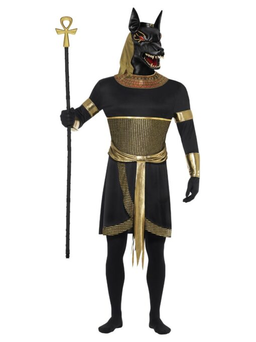 Anubis the Jackal