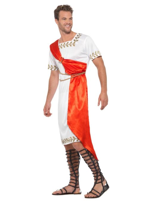 Roman Caesar / Senator - Image 3