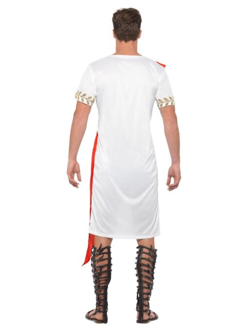 Roman Caesar / Senator - Image 2