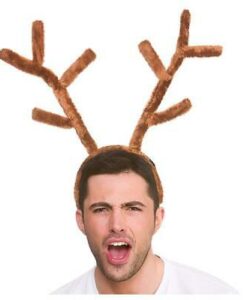 Stag Antlers