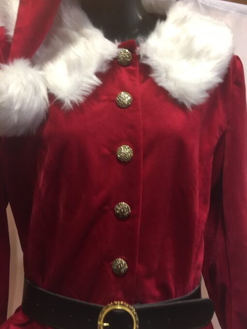 Professional Mother Christmas Costume - Image 3