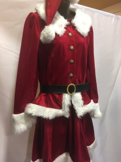 Professional Mother Christmas Costume - Image 2