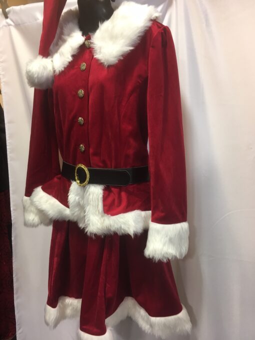 Professional Mother Christmas Costume - Image 4