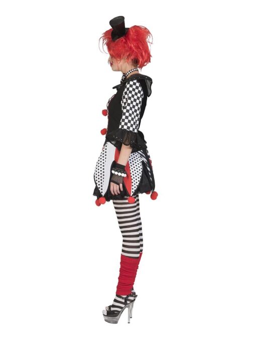 Ladies Jester / Harlequin Costume - Image 3