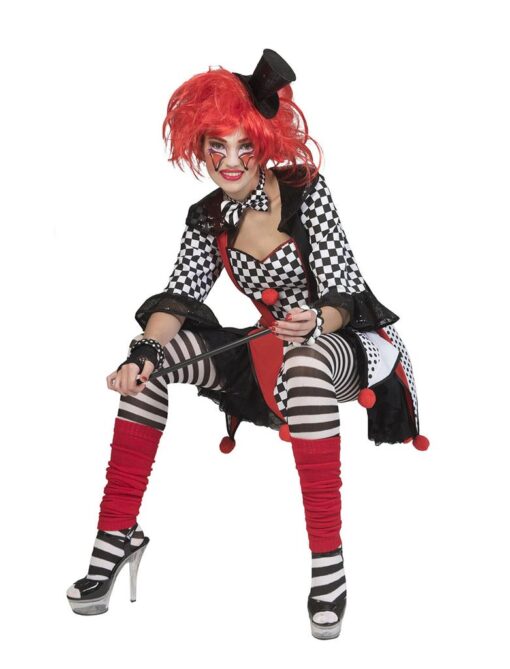 Ladies Jester / Harlequin Costume