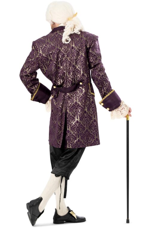 Baroque / Regency Prince - Image 3