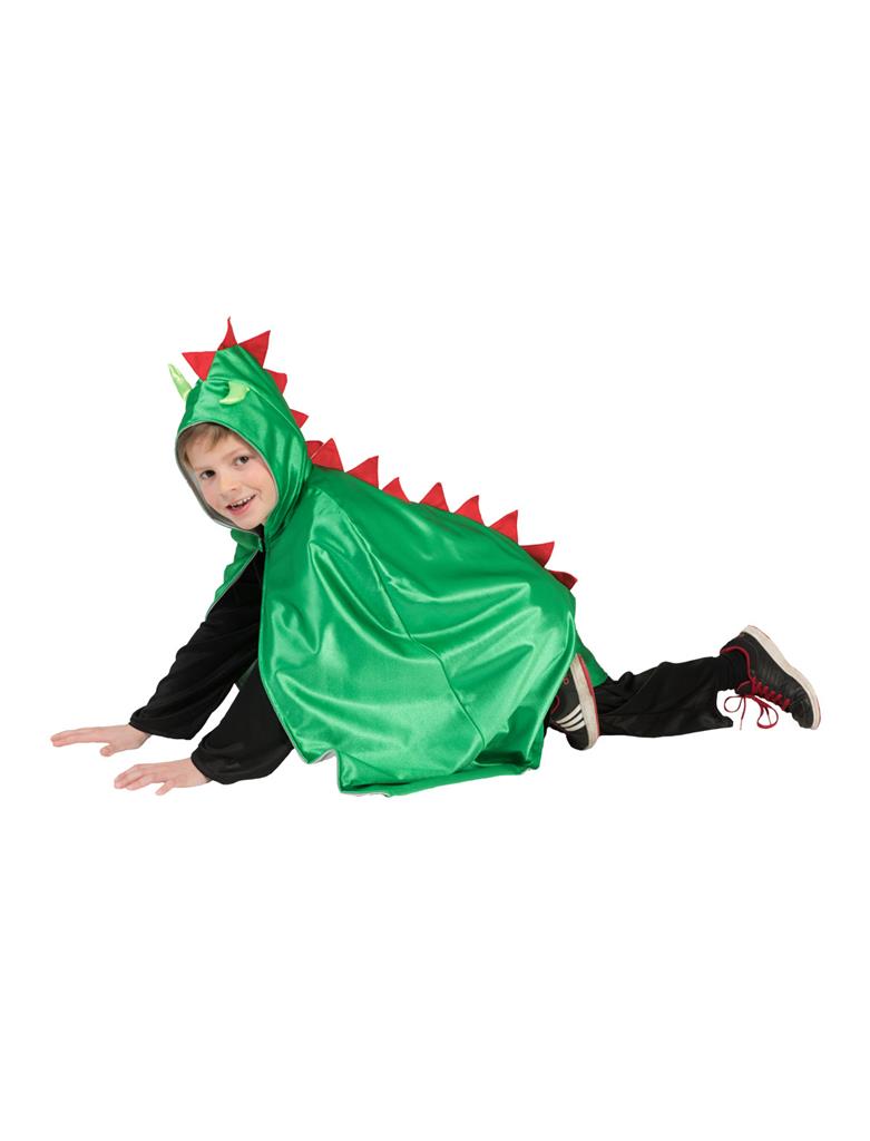 Reversible Knight / Dragon Cloak - Image 3