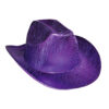 Western Cowboy / Cowgirl Hat – Metallic Purple