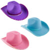 Adult Sequin Trim Cowgirl Hat