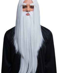 Deluxe Wizard Kit – Beard, Wig & Eyebrows