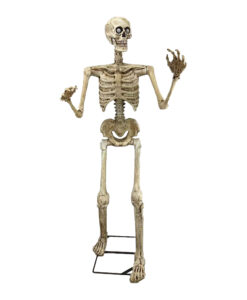 Animated Skeleton Animatronic – 150cm
