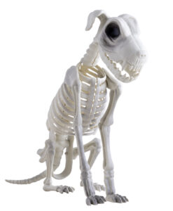 Dog Skeleton Halloween Decoration – 43cm