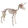 Unicorn Luna Skeleton Animatronic – 60cm
