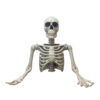 Torso Tom Ground-Breaking Skeleton Prop