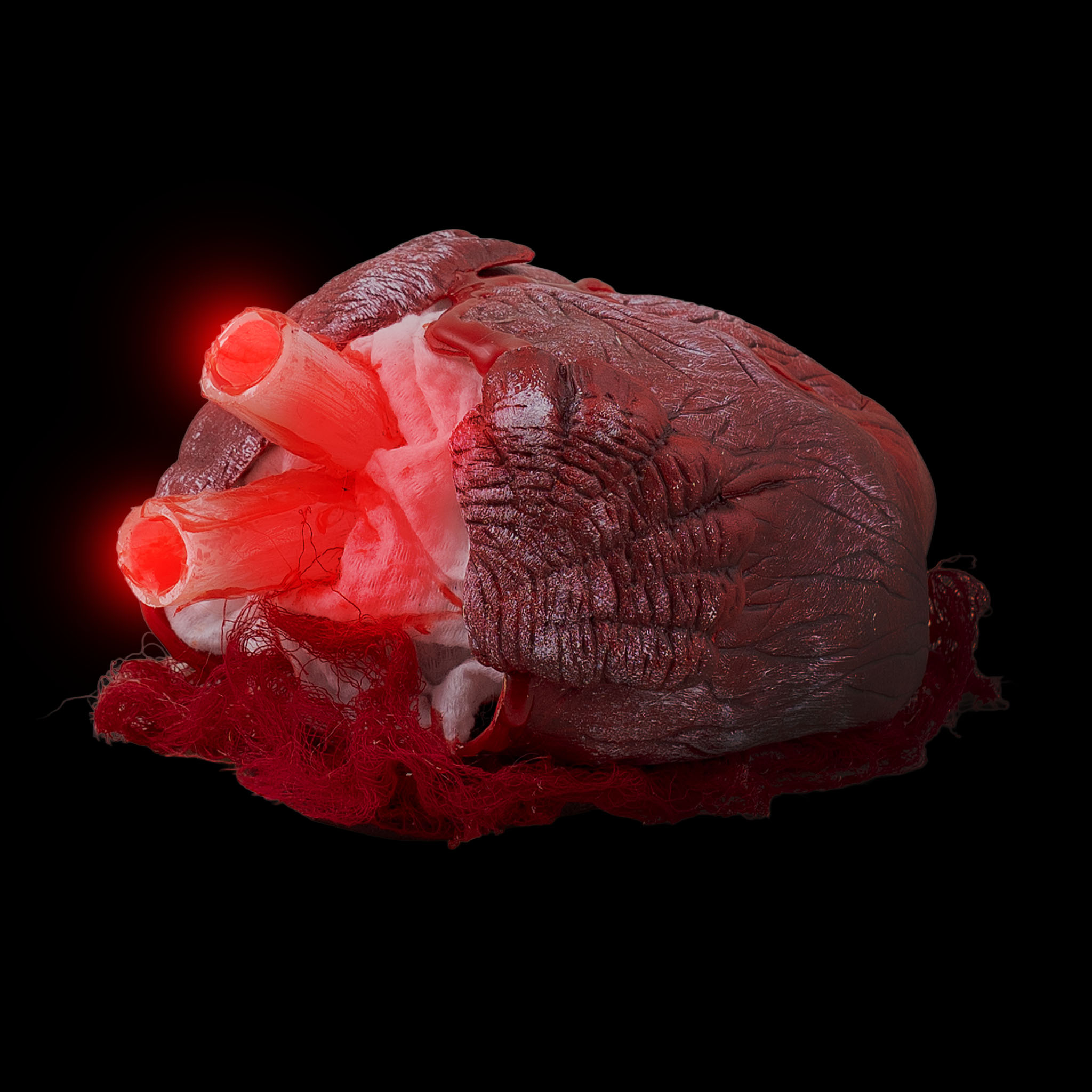 Bloody Beating Heart Animatronic – Halloween Decoration