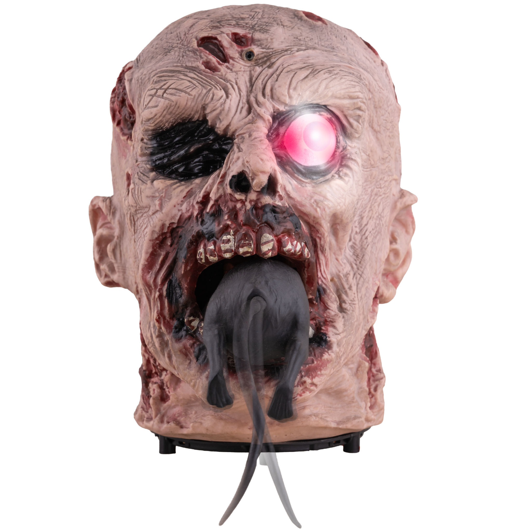 Rat Chewing Zombie Head Animatronic – 25cm Halloween Decoration (Pre-Order) - Image 2