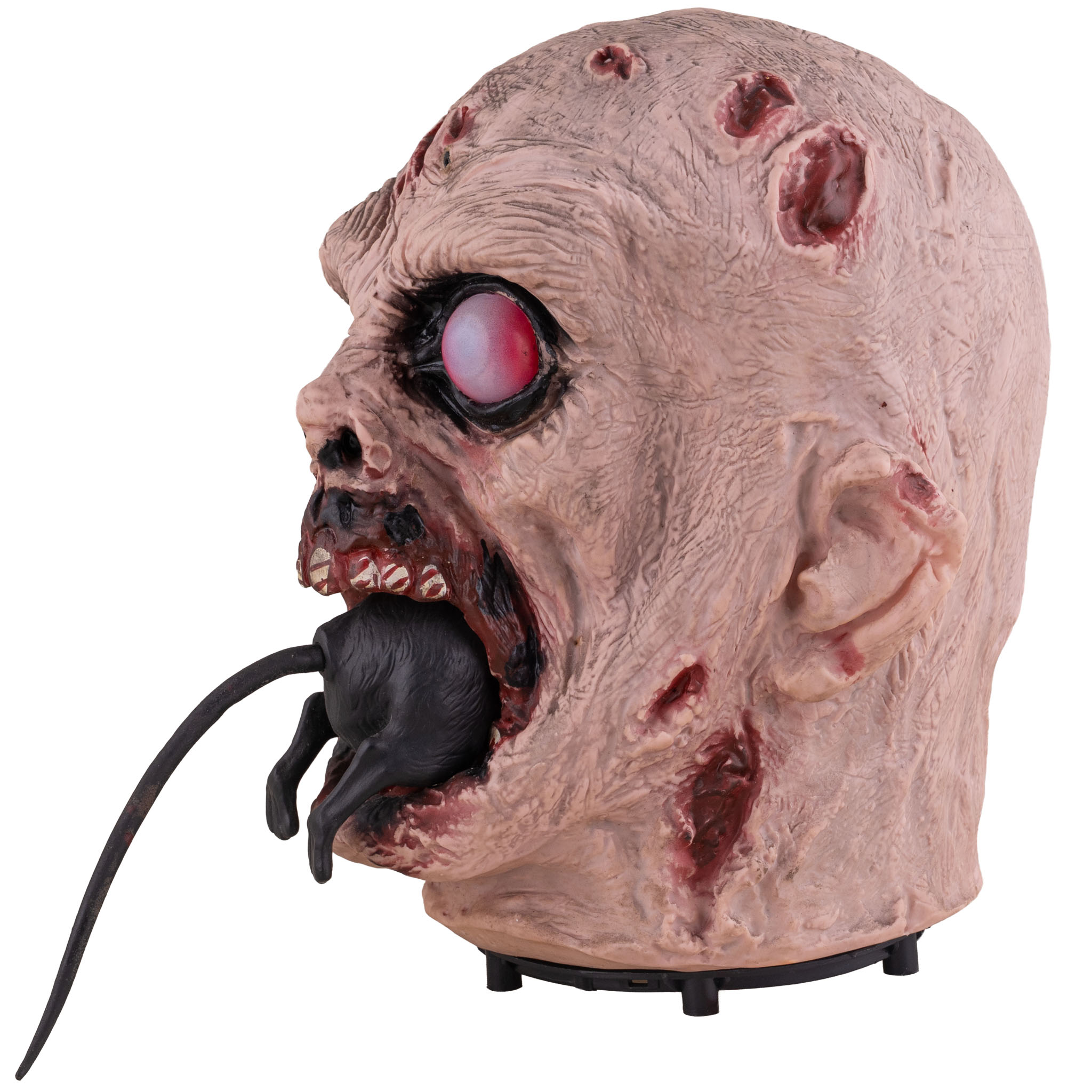 Rat Chewing Zombie Head Animatronic – 25cm Halloween Decoration (Pre-Order) - Image 3