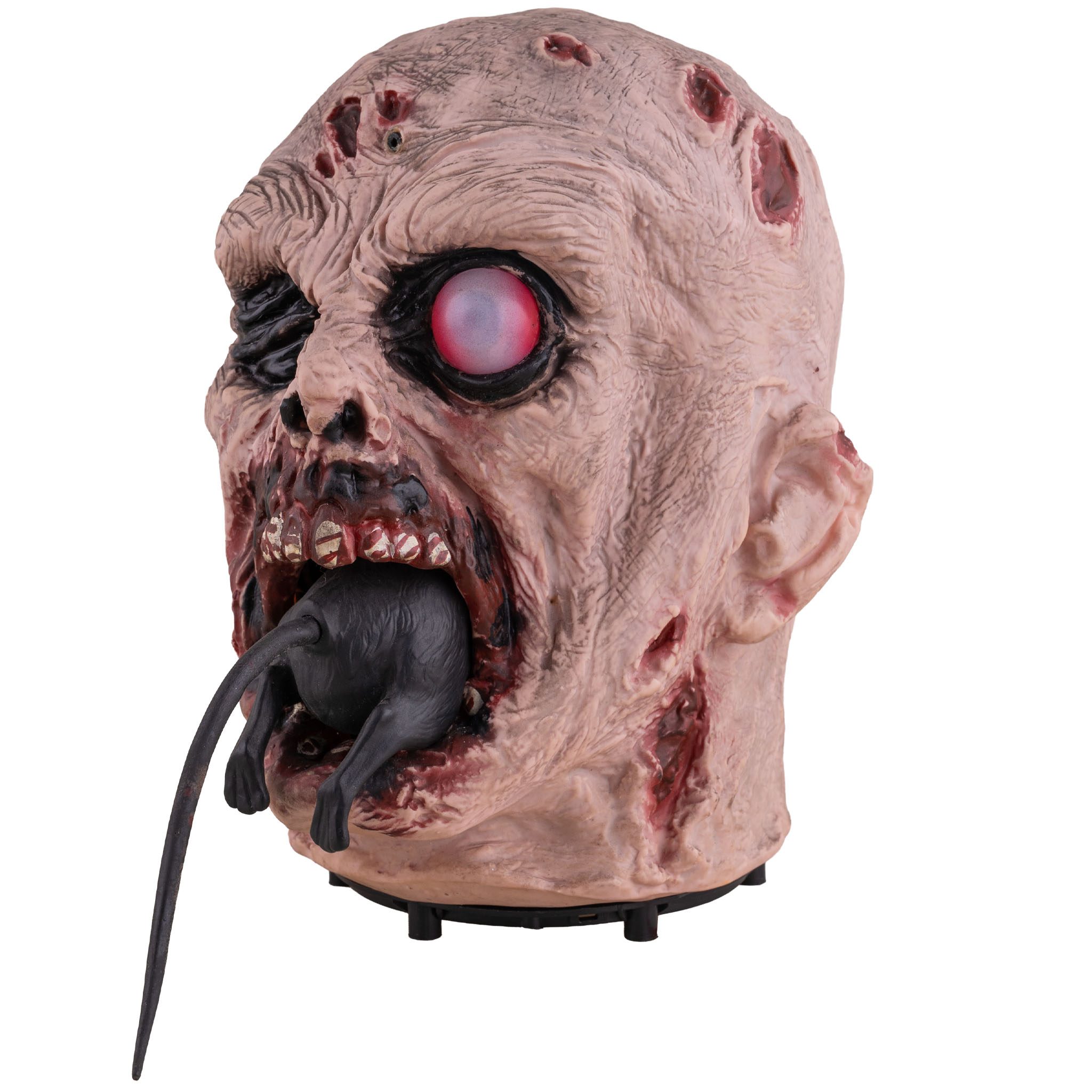 Rat Chewing Zombie Head Animatronic – 25cm Halloween Decoration (Pre-Order)